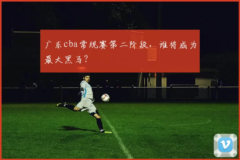 广东cba常规赛第二阶段，谁将成为最大黑马？