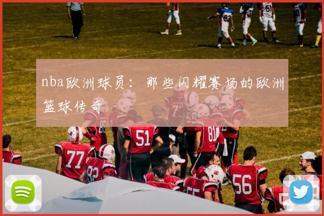 nba欧洲球员：那些闪耀赛场的欧洲篮球传奇