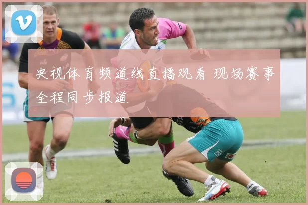 央视体育频道线直播观看 现场赛事全程同步报道