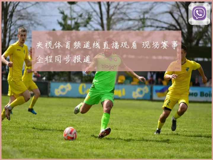 央视体育频道线直播观看 现场赛事全程同步报道