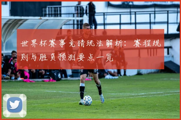 世界杯赛事竞猜玩法解析：赛程规则与胜负预测要点一览