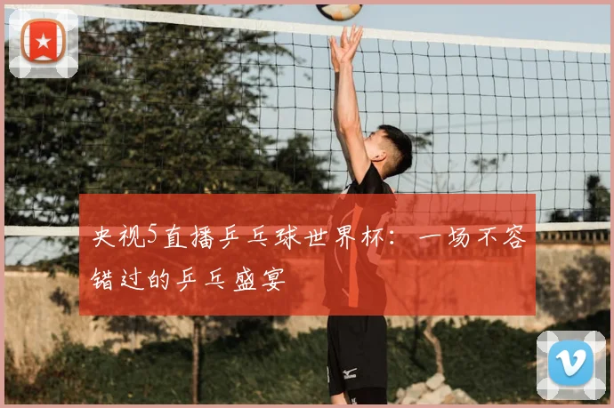 央视5直播乒乓球世界杯：一场不容错过的乒乓盛宴